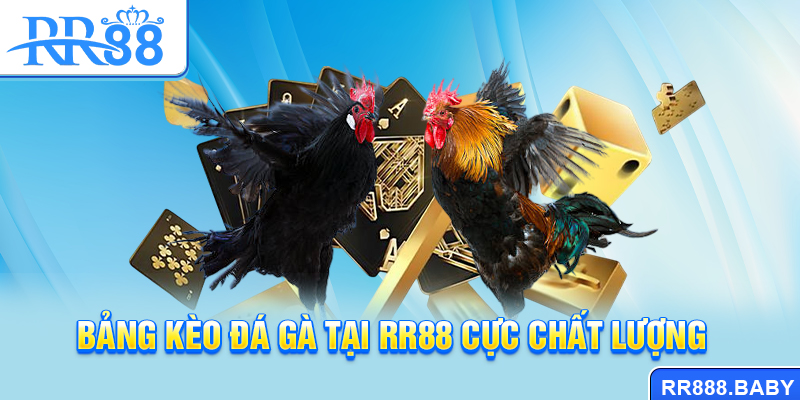 Bảng kèo đá gà tại RR88 cực chất lượng