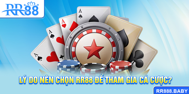 Lý do nên chọn RR88 để tham gia cá cược?