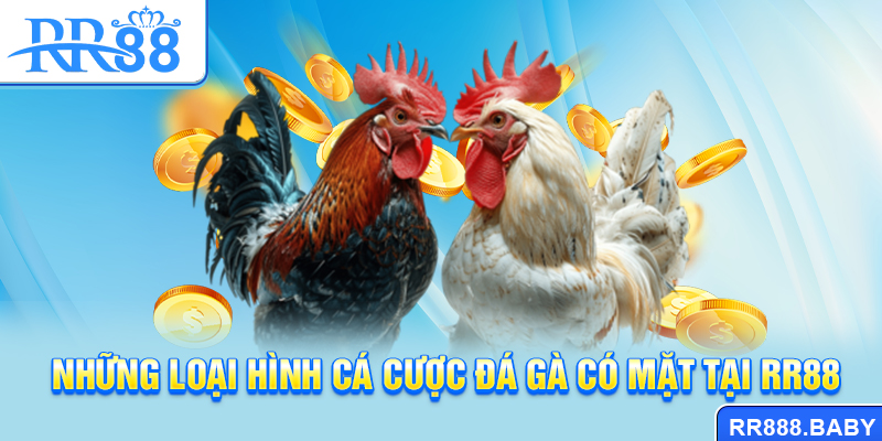Những loại hình cá cược đá gà có mặt tại RR88